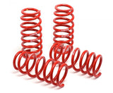 H&R Race Lowering Springs - Ford Mustang 2011-2014