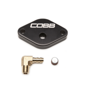 Cobb Sound Symposer Delete - Ford Focus ST 2013-2015
